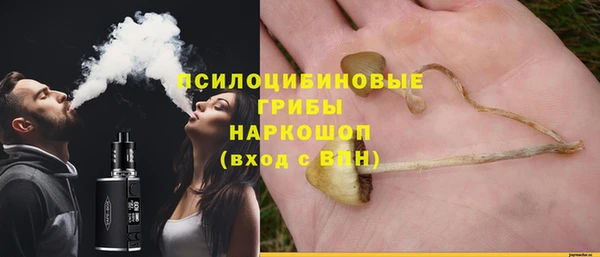 бошки Вяземский