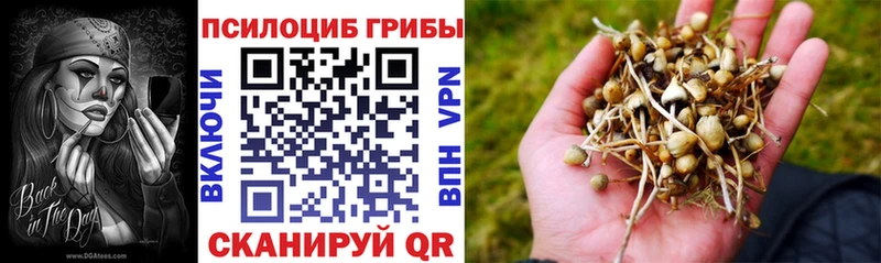 Купить  Арск  Псилоцибиновые грибы прущие грибы 
